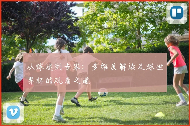 从球迷到专家:多维度解读足球世界杯的观看之道