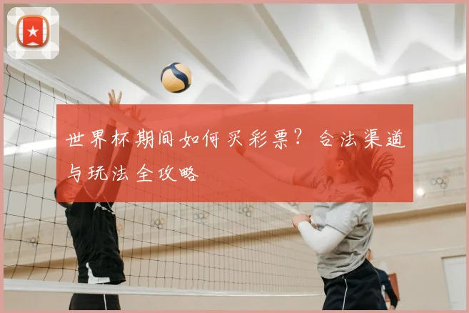 世界杯期间如何买彩票?合法渠道与玩法全攻略
