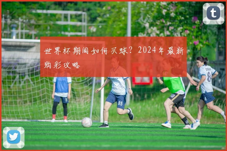 世界杯期间如何买球?2024年最新购彩攻略