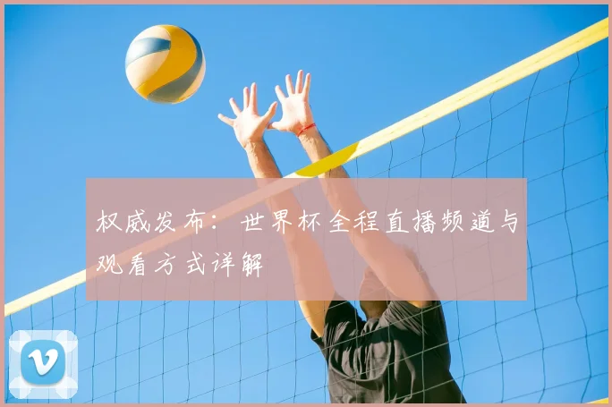 权威发布：世界杯全程直播频道与观看方式详解